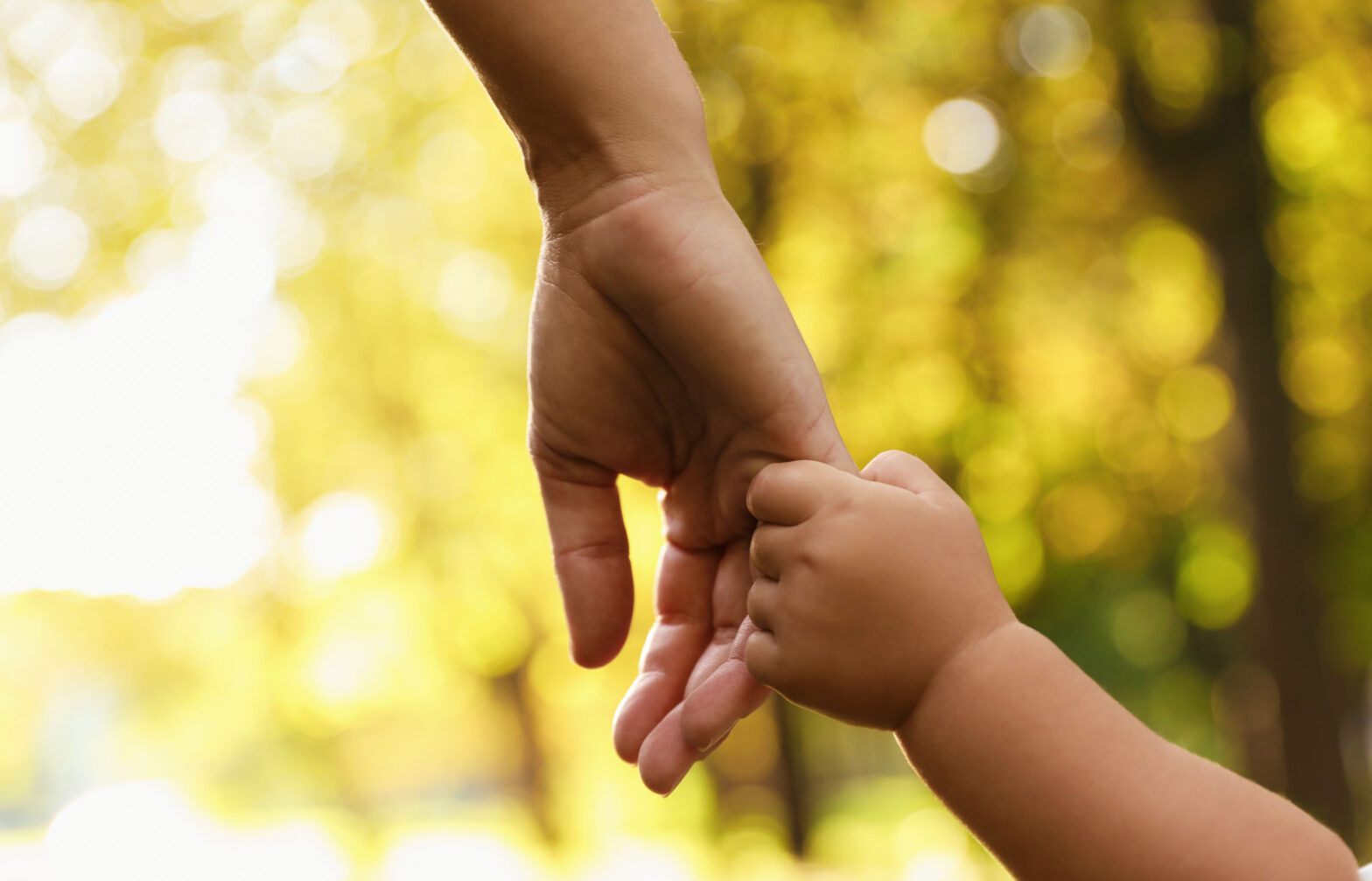 Part I, Post 7 – The Specter and the Changelings: War on Virginia’s Children