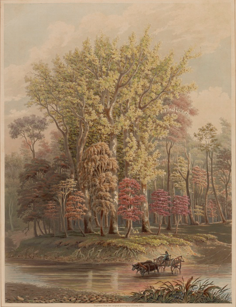 Part III, Post 4 – Frontier Capitalism: Turning Land into Power